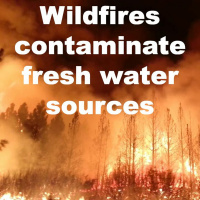Wildfires contaminate fresh water sources
