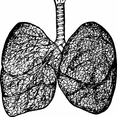 Cu Boulder Lab R.a.t.s.