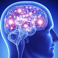 Memorization - Key To Mental Fitness