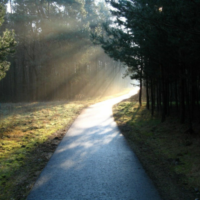 1 Minute Train Yourself Tip