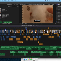 Dummm De Doomm The Vlog Is Back - Ep 01