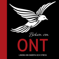 Bonusavsnitt - Officiella släppet av Boken av Ont - Hör författarna berätta.