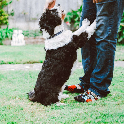 Saebo Mental Practice Exercises