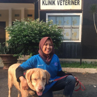 Eps12: Anjing diabetes? Kucing diare? Wow ga nyangka dokter hewan seseru itu! Feat drh. Novi Ratna