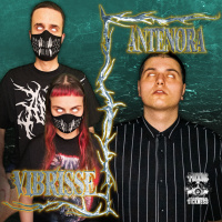 VIBRISSE INVITES ANTENORA / TOXIC SICKNESS RESIDENCY SHOW #5 / SEPTEMBER / 2025