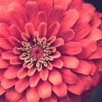 Breakup Podcast 2019