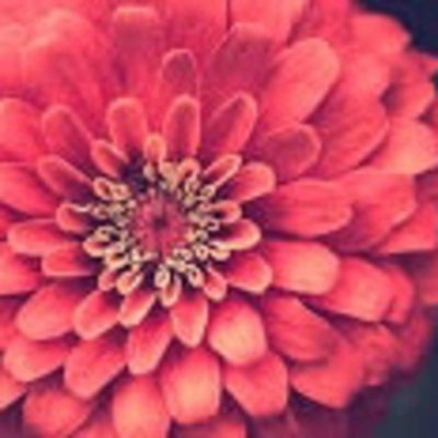 Toxic Love W/ Nya Alexis