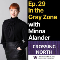 CN29 In the Gray Zone