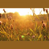 5-10-20 – Honoring Your Father and Mother – Dr. Troy Bush