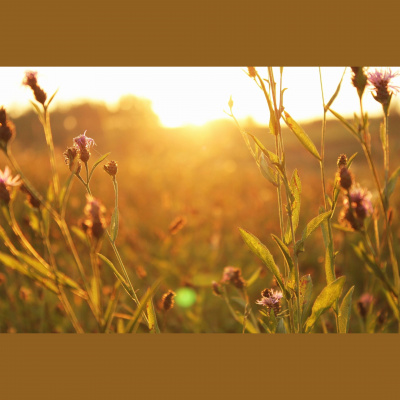 Rehoboth Baptist Church