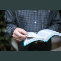 Ludvine Schmitz – La vérité