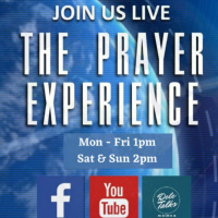 Persistent Praying | The Prayer Experience with Jane Pratt | Tues 16th Aug 2022