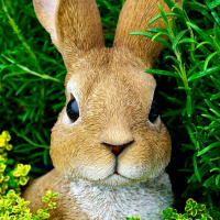 Our Easter Special with the Easter Bunny