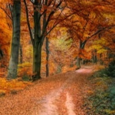 Another Day Above Ground