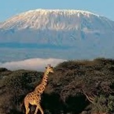 Another Day Above Ground