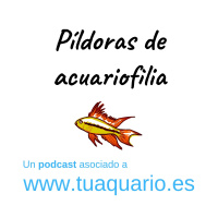 Pildoras de acuariofilia - Episodio 2. Ciclado del acuario