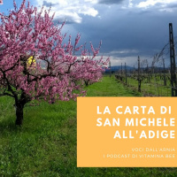 La Carta di San Michele allAdige