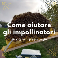 Come aiutare gli impollinatori