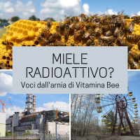 Miele radioattivo?
