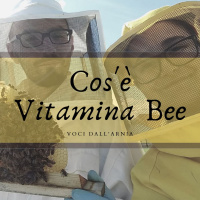 Cosè Vitamina Bee