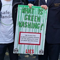 Greenwashing e Bee-washing: cosa sono?