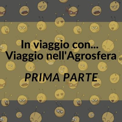 Voci Dallarnia Con Vitamina Bee