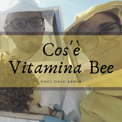 Voci Dallarnia Con Vitamina Bee
