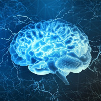 The Subconscious Mind.