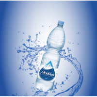 STARTUPS AND SIDE HUSTLES: Monviso Water