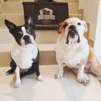 Start Ups  Side Hustles: Katherine Cebrowski  Robert Kelly