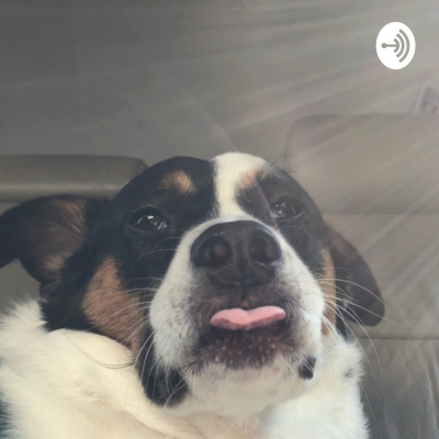 A.b... Ceces Talk Time