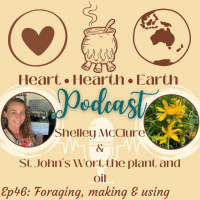 Ep. 46 St Johns Wort, Seasonal Foraging, Oil Making and Use