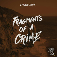 Fragments of a Crime [3]