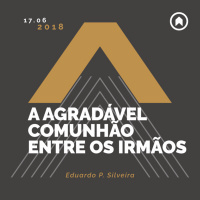 A Agradável Comunhão Entre Os Irmãos - Eduardo P. Silveira