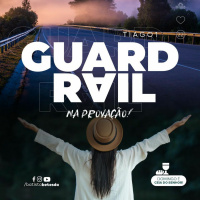 3. GUARD RAIL NAS PALAVRAS - PR RICARDO CAPLER