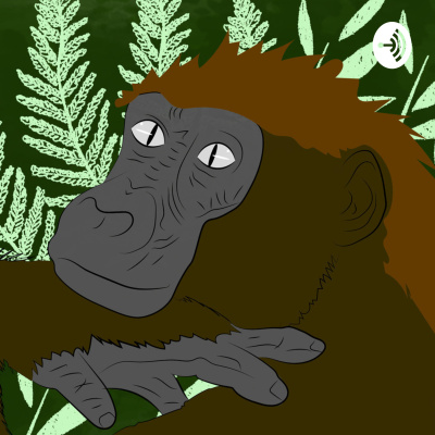 Bisonhos Podcast