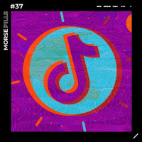 MorsePills #37 | TikTok contra ataca