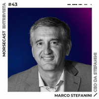 Stefanini aposta em advertising