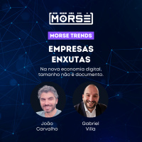 Tamanho é documento? As novas Empresas Enxutas.