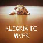 Alegria De Viver