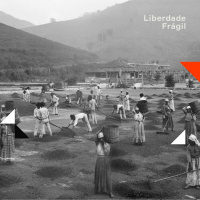 Liberdade Frágil