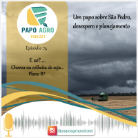 PA74 - E se?... Choveu na colheita de soja: Um papo sobre São Pedro, desespero e planejamento