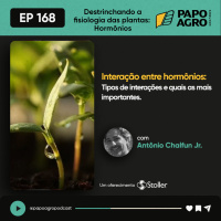 PA168 - Interação entre hormônios: Destrinchando a Fisiologia das Plantas - Hormônios