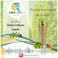 PA55 - Outras Culturas: Lúpulo, De onde vem o sabor da cerveja?