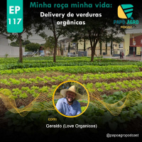 PA117 - MRMV - Delivery de verduras orgânicas