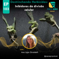 PA103 - Destrinchando Herbicidas - Inibidores da divisão celular
