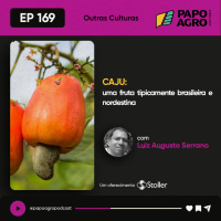PA169 - Outras Culturas: Caju