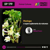 PA179 - Outras Culturas: Moringa