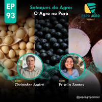 PA93 - Sotaques do Agro - O Agro no Pará