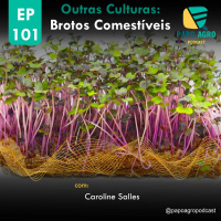 PA101 - Outras Culturas - Brotos